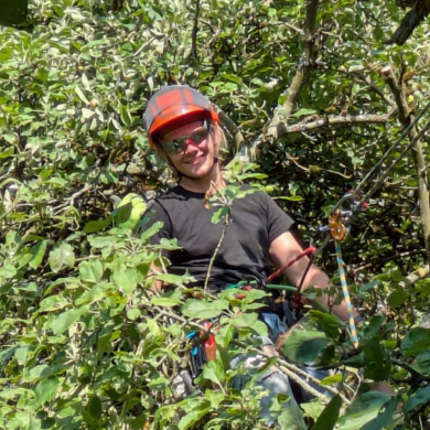 Joris Werkhausen in Seilklettertechnik im Baum 